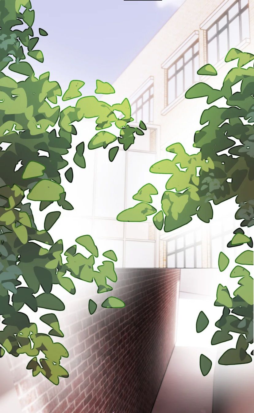 Tôi Phải Làm 1 Kẻ Đại Xấu Xa Chap 24 - Trang 3