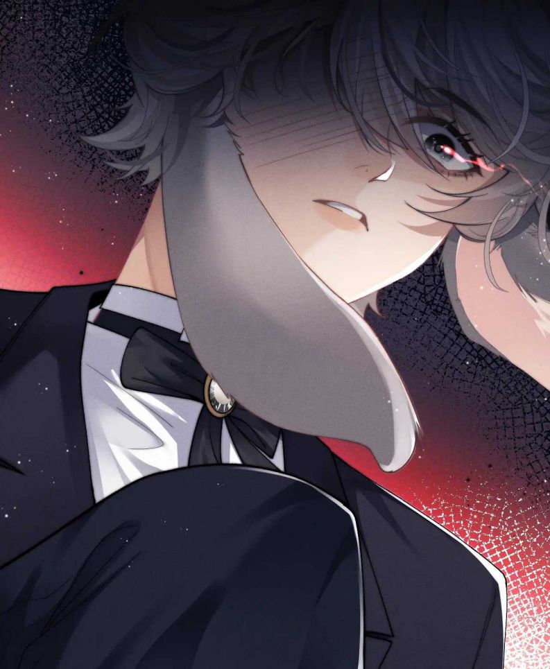 Chấp Sự Thỏ Cụp Tai Chapter 3 - Trang 4