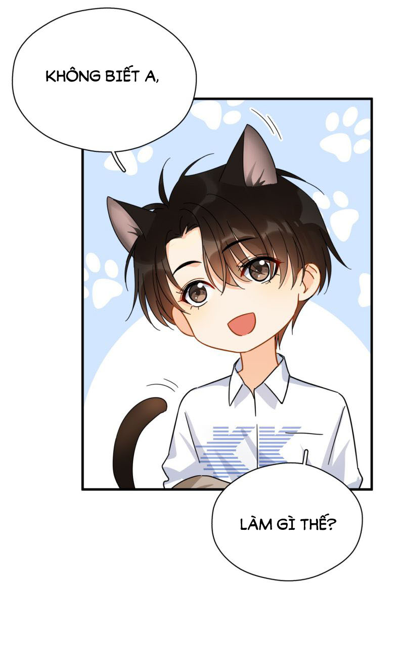 Theo Đuôi Chapter 39 - Trang 4