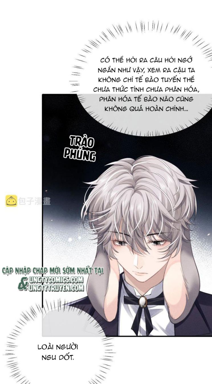 Chấp Sự Thỏ Cụp Tai Chapter 8 - Trang 4