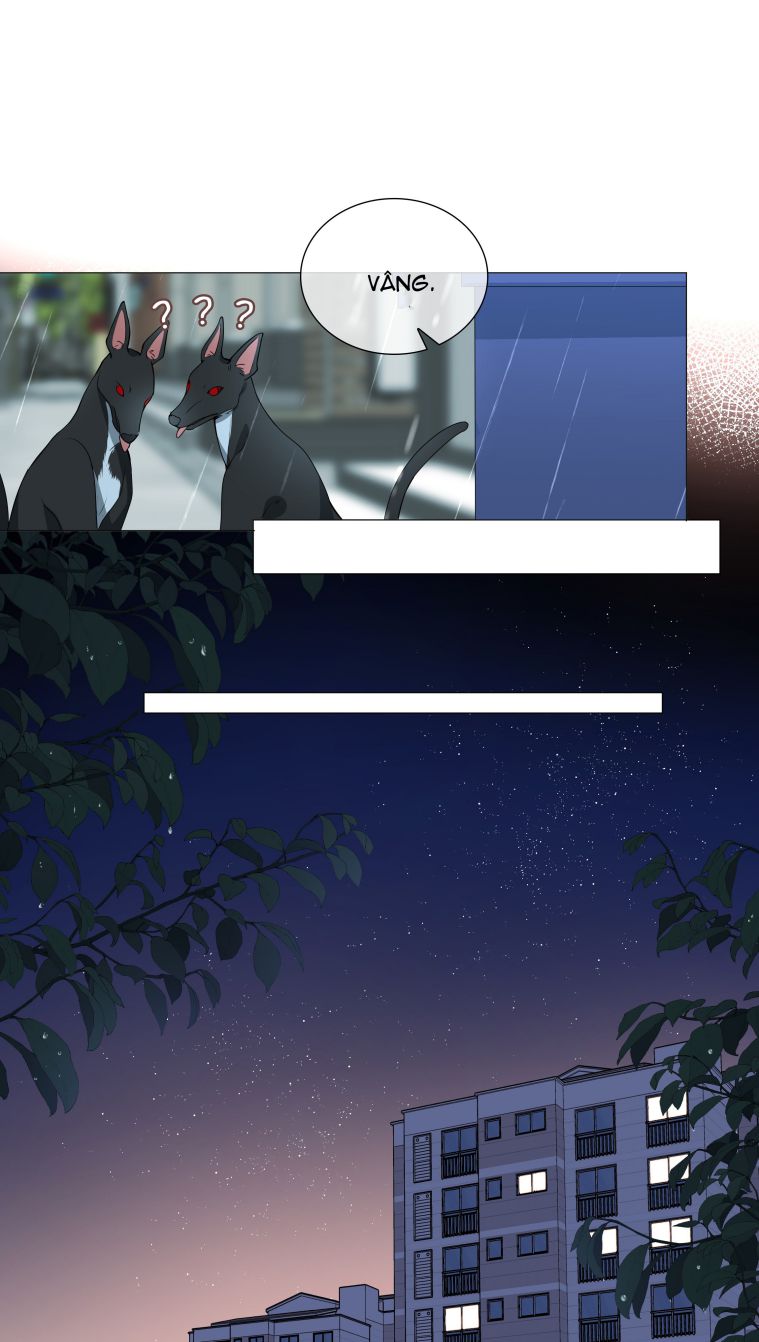 Sơn Hải Cao Trung Chapter 25 - Next Chapter 26