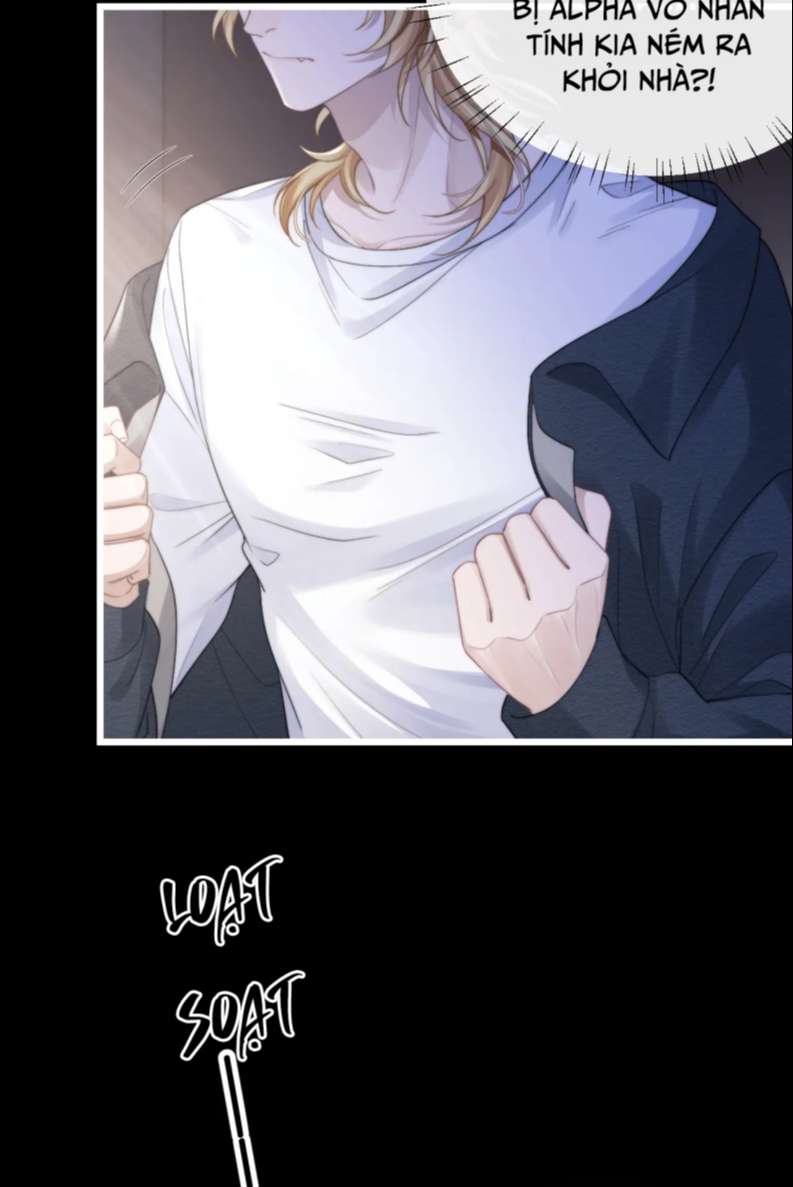 Chấp Sự Thỏ Cụp Tai Chapter 23 - Next Chapter 24