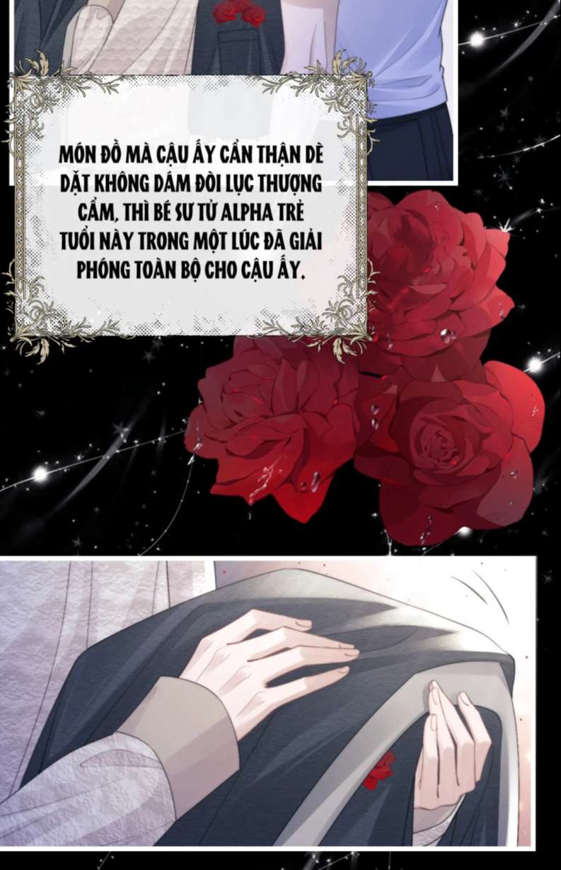 Chấp Sự Thỏ Cụp Tai Chapter 23 - Next Chapter 24
