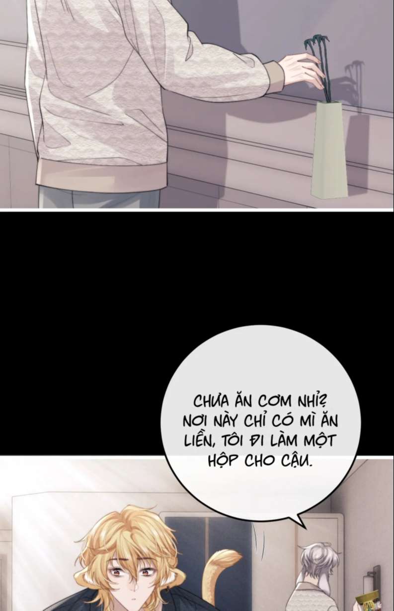 Chấp Sự Thỏ Cụp Tai Chapter 23 - Next Chapter 24