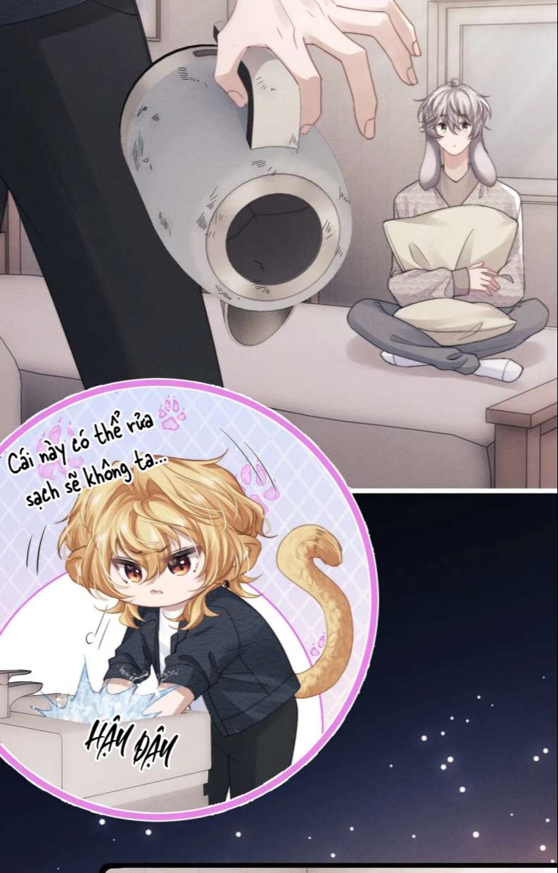 Chấp Sự Thỏ Cụp Tai Chapter 23 - Next Chapter 24