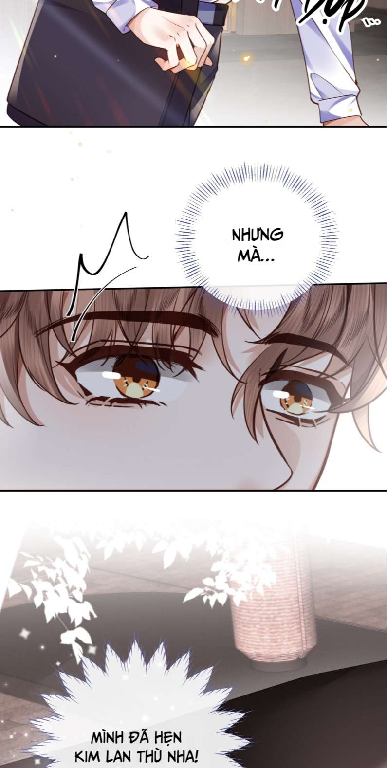 Tổng Tài Định Chế Tư Nhân Chapter 35 - Next Chapter 36