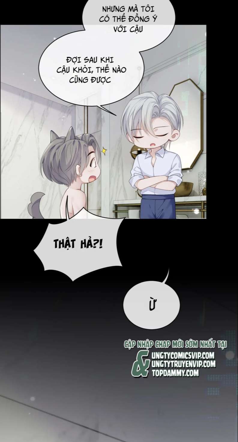 Đơn Xin Ly Hôn Chapter 84 - Trang 3