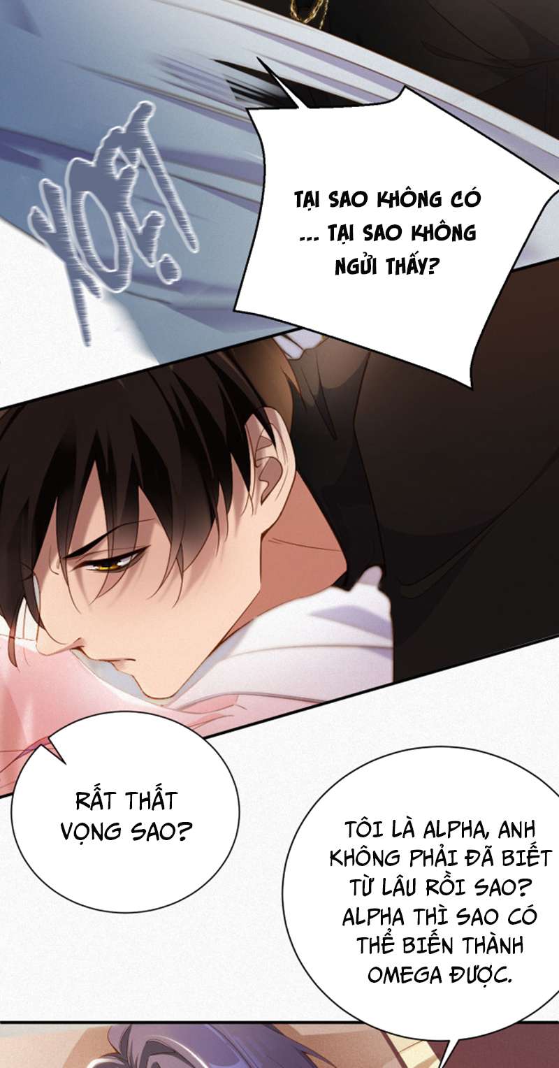 Chồng Trước Lại Muốn Phục Hôn Rồi Chapter 1 - Trang 3