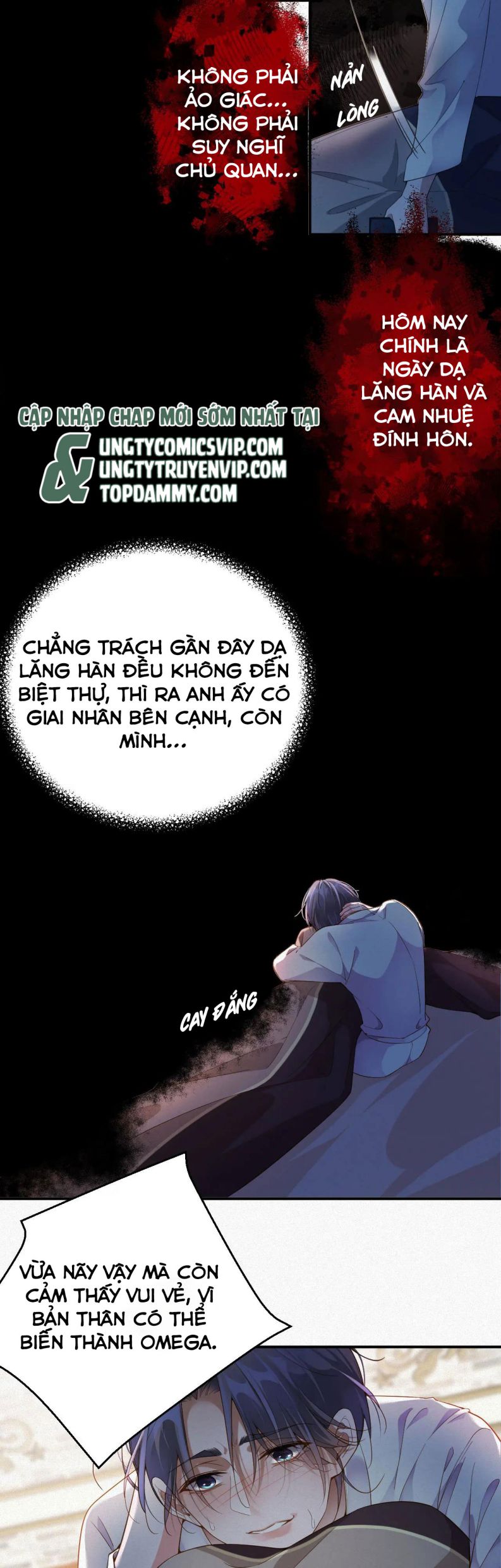 Chồng Trước Lại Muốn Phục Hôn Rồi Chapter 4 - Trang 3