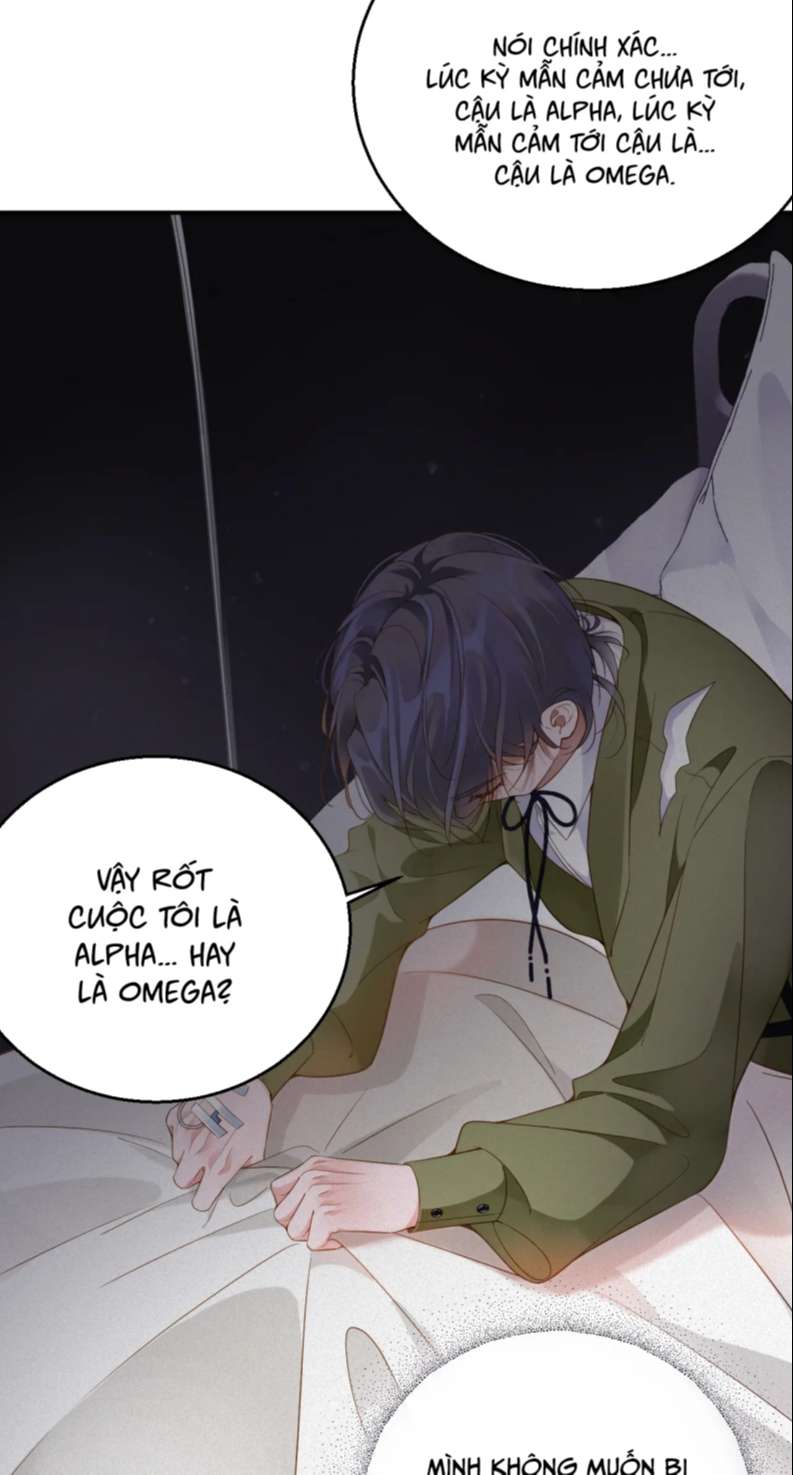 Chồng Trước Lại Muốn Phục Hôn Rồi Chapter 5 - Trang 3