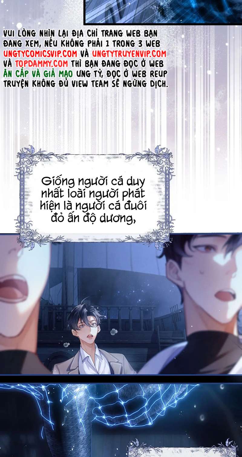 Desharow Nhân Ngư Chapter 1 - Trang 4
