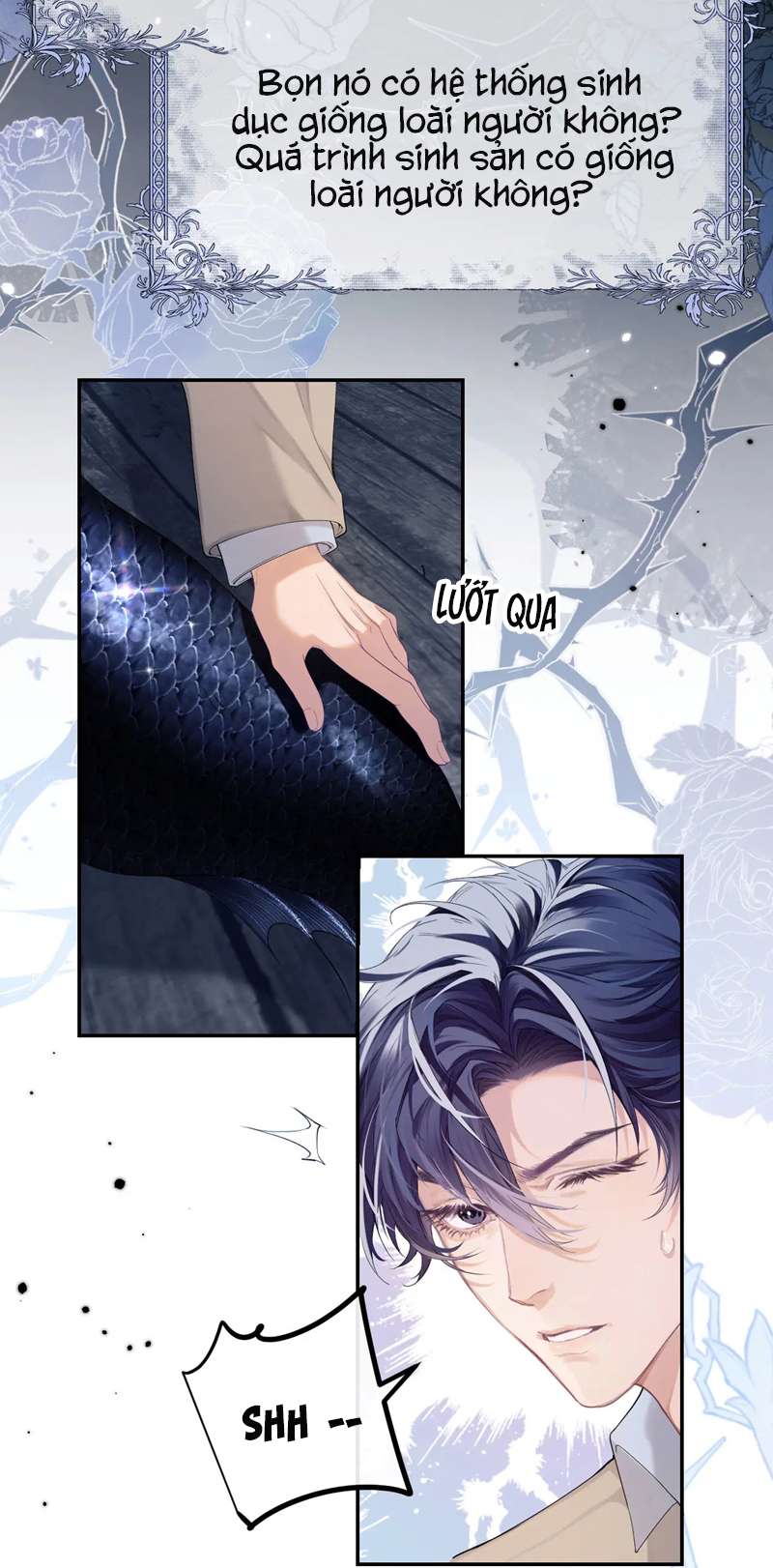 Desharow Nhân Ngư Chapter 1 - Trang 4