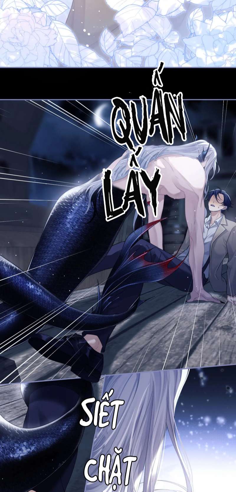 Desharow Nhân Ngư Chapter 1 - Trang 4