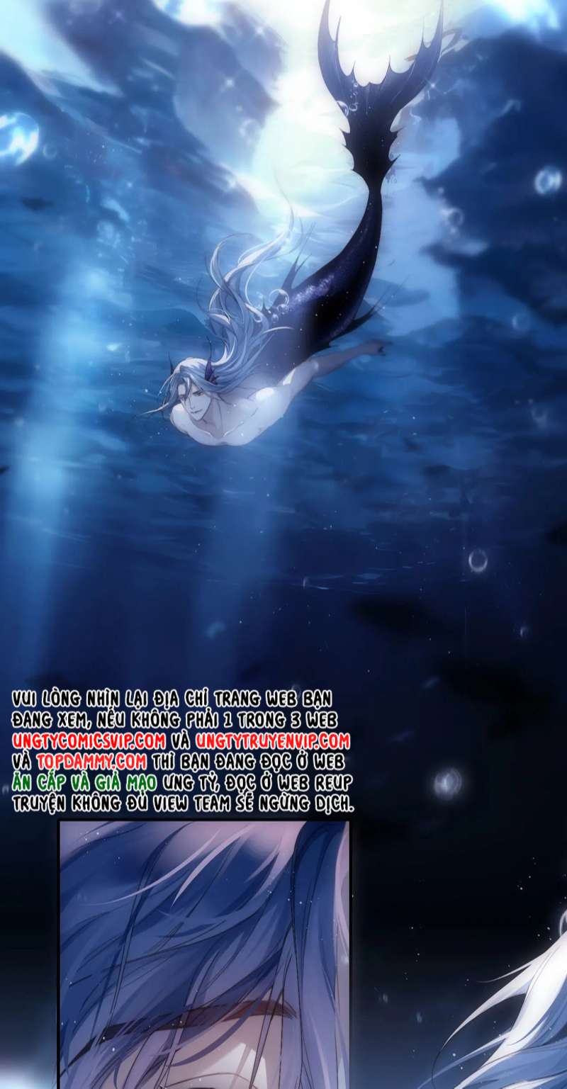 Desharow Nhân Ngư Chapter 1 - Trang 4