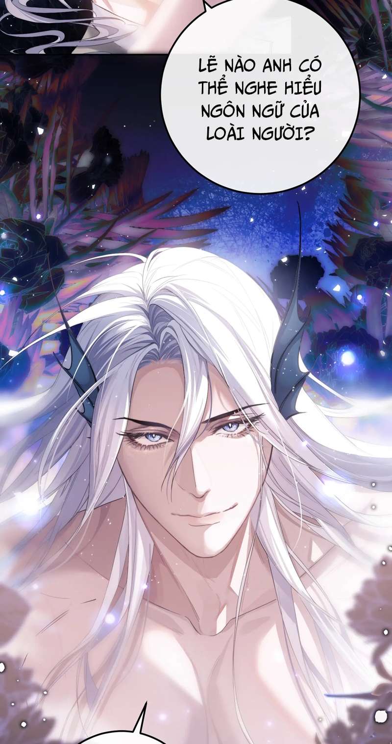 Desharow Nhân Ngư Chapter 3 - Next Chap 3