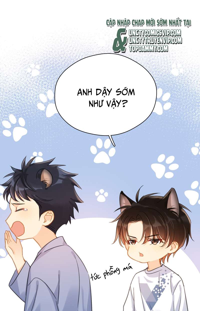 Theo Đuôi Chapter 64 - Trang 4