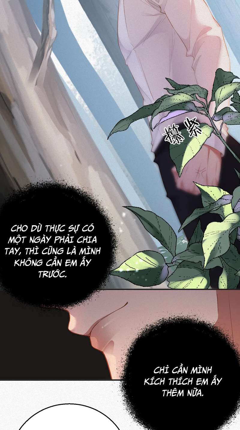 Chồng Trước Lại Muốn Phục Hôn Rồi Chapter 11 - Trang 3