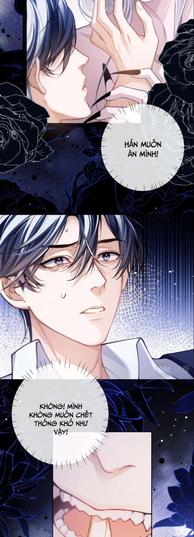 Desharow Nhân Ngư Chapter 7 - Next Chapter 8