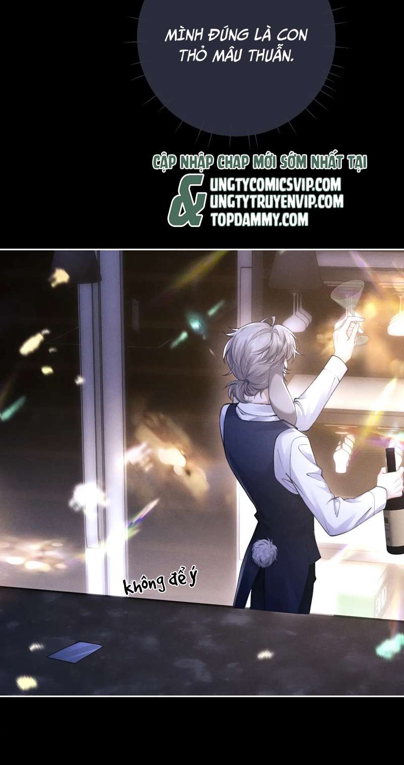 Chấp Sự Thỏ Cụp Tai Chapter 45 - Trang 4