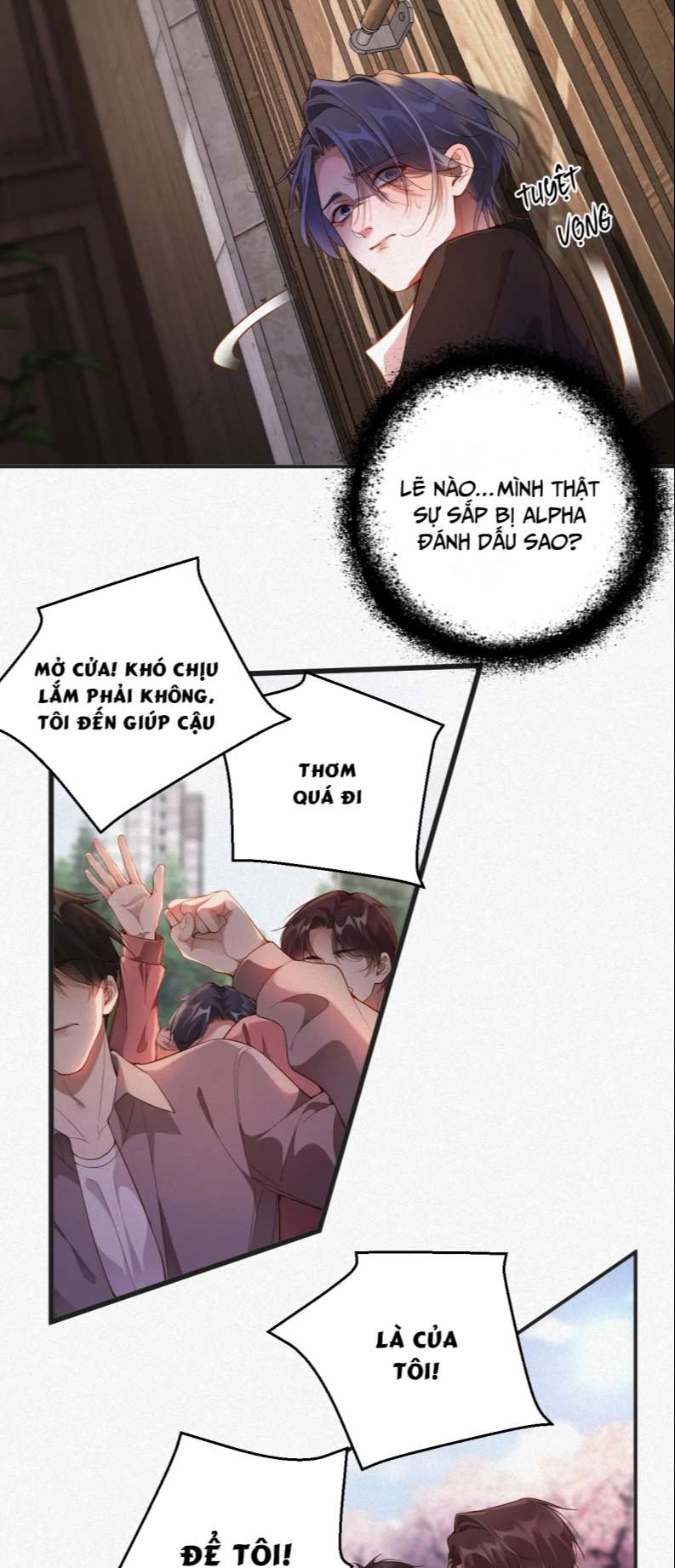 Chồng Trước Lại Muốn Phục Hôn Rồi Chapter 12 - Trang 3