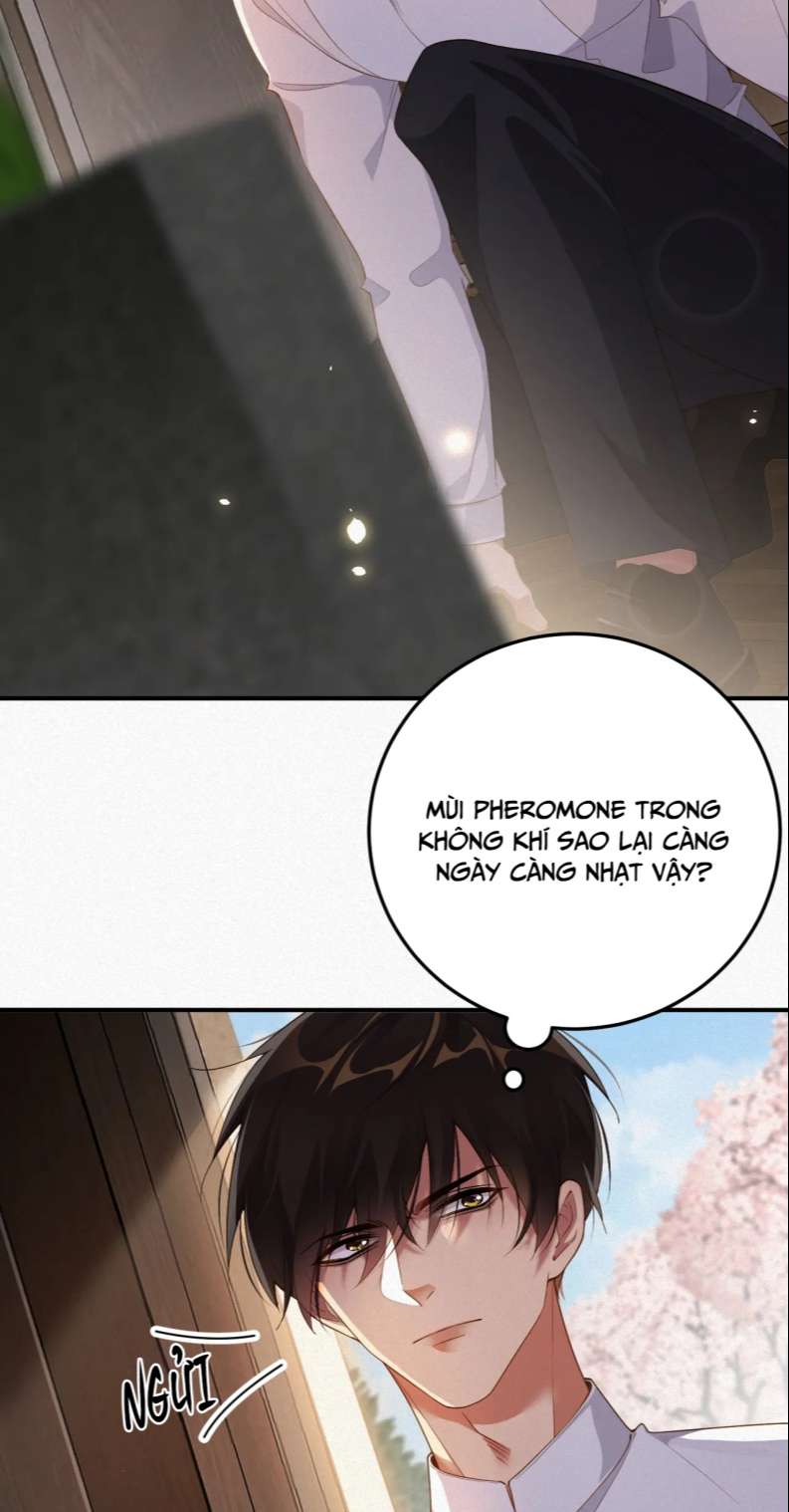 Chồng Trước Lại Muốn Phục Hôn Rồi Chapter 12 - Trang 3