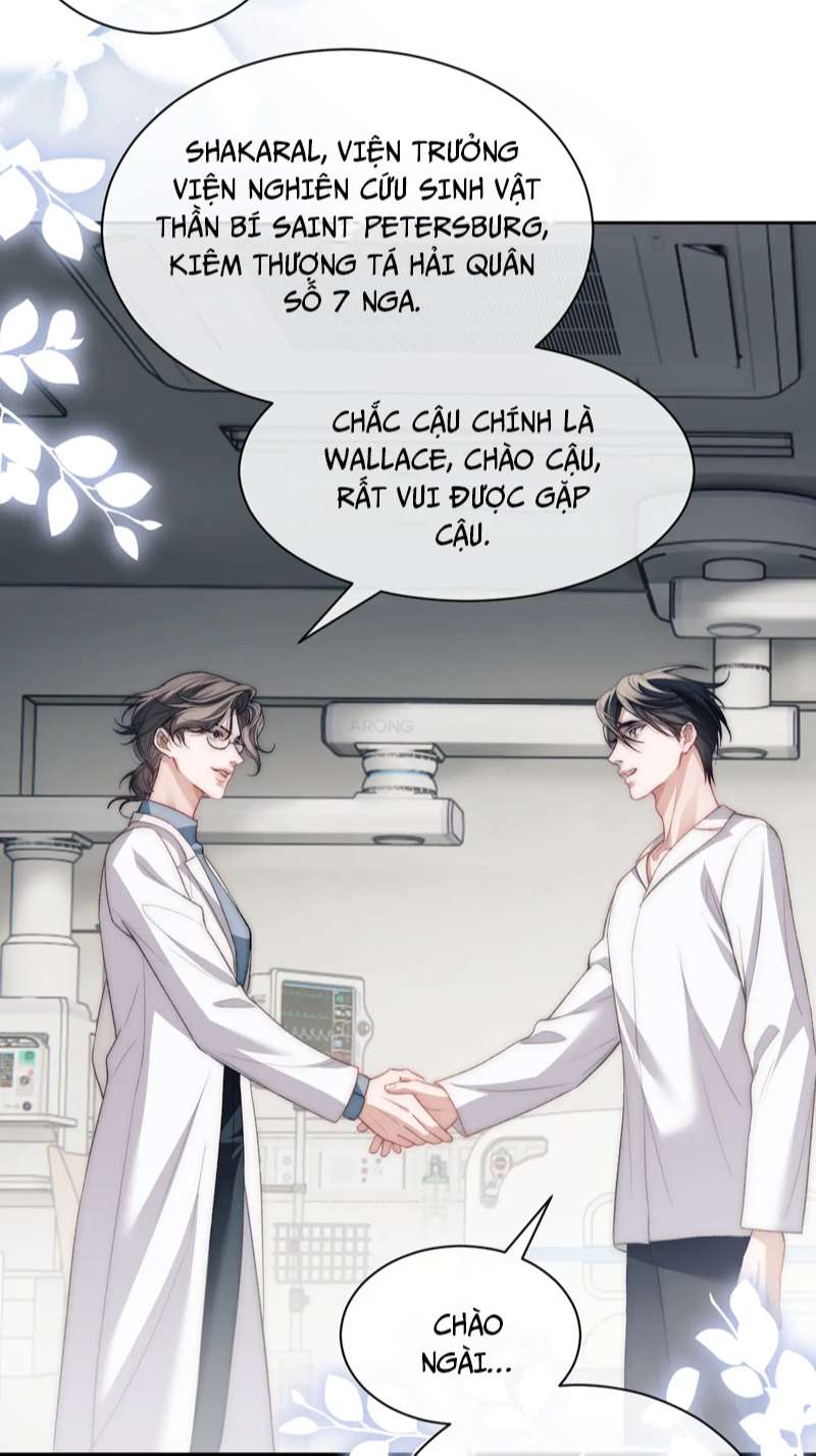Desharow Nhân Ngư Chapter 11 - Trang 4