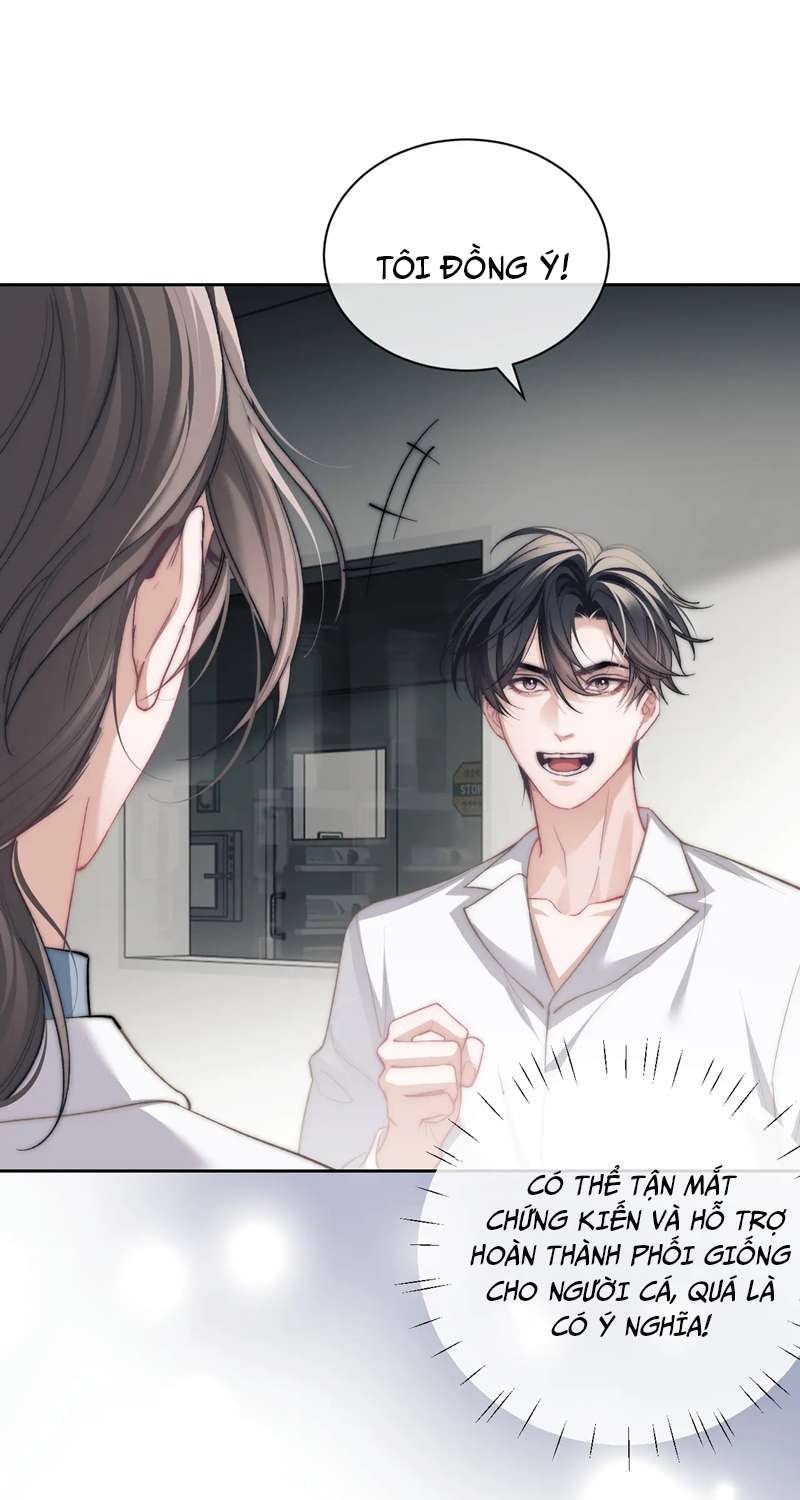 Desharow Nhân Ngư Chapter 11 - Trang 4