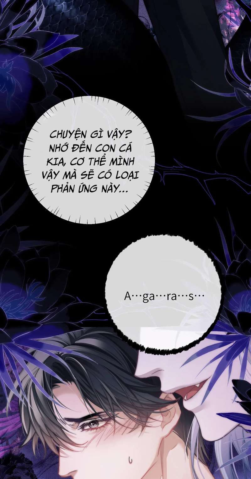 Desharow Nhân Ngư Chapter 11 - Trang 4
