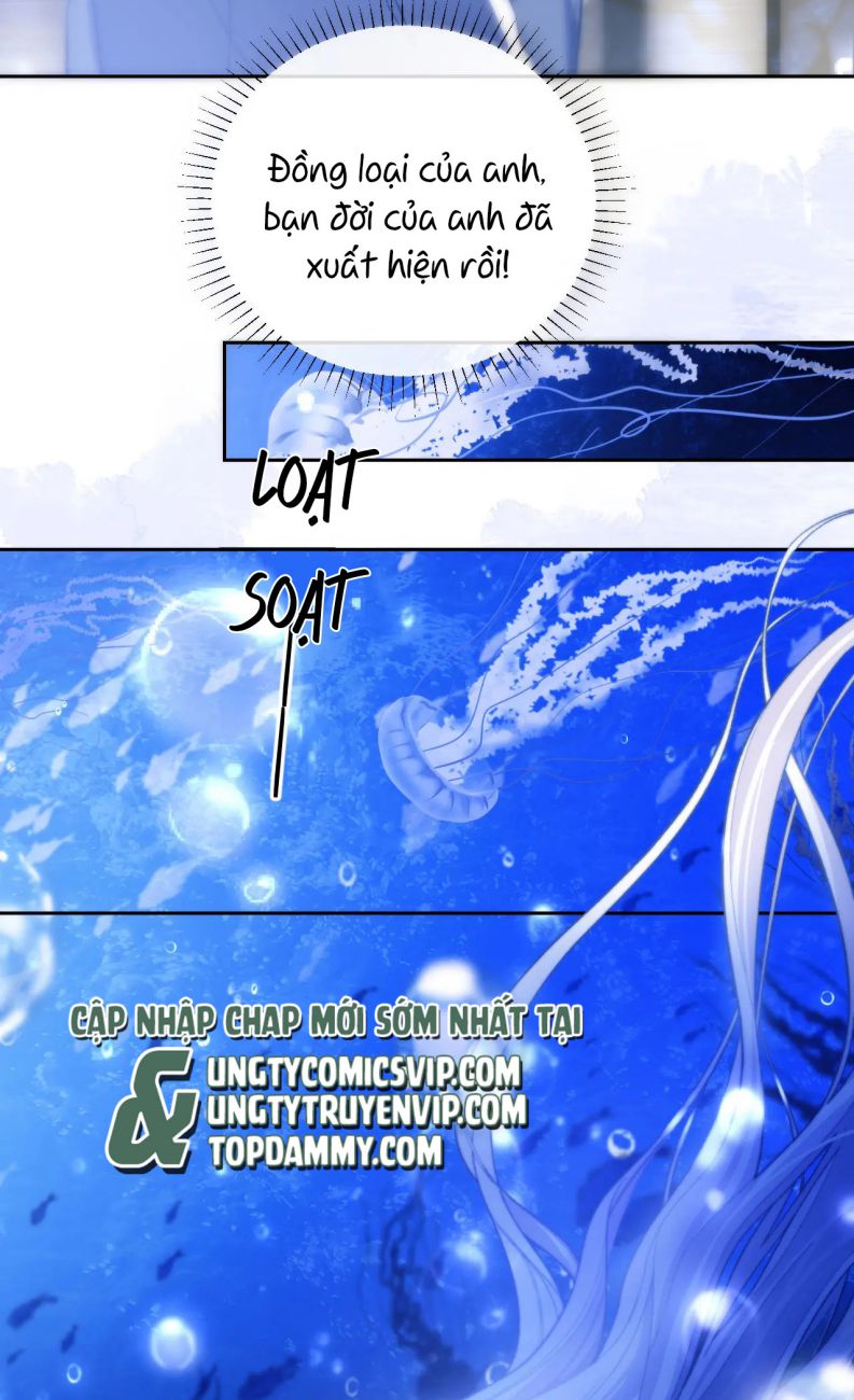 Desharow Nhân Ngư Chap 12 - Trang 2