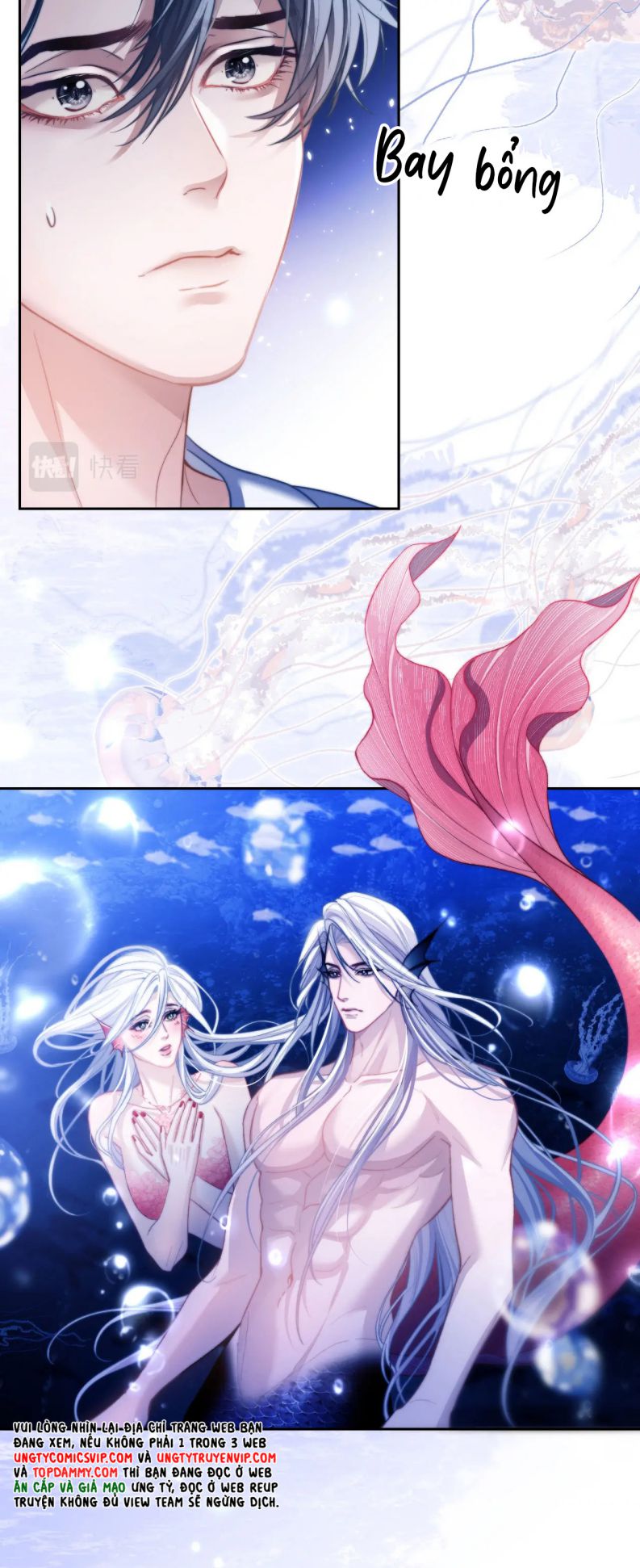 Desharow Nhân Ngư Chap 12 - Trang 2