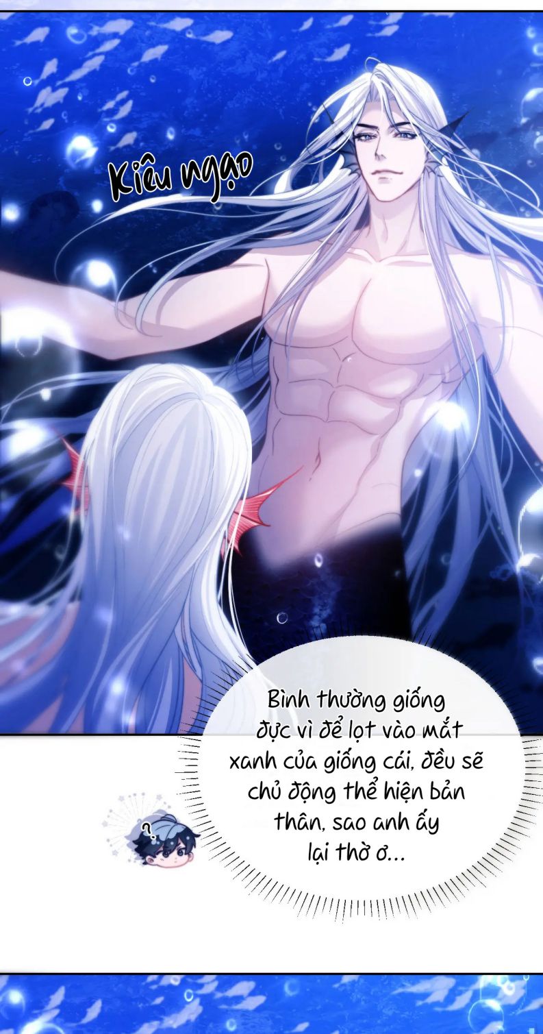 Desharow Nhân Ngư Chap 12 - Trang 2
