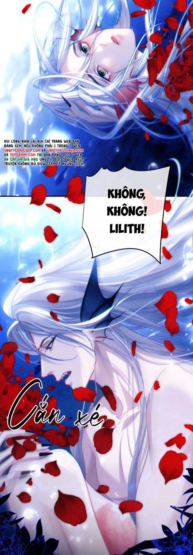 Desharow Nhân Ngư Chap 12 - Trang 2