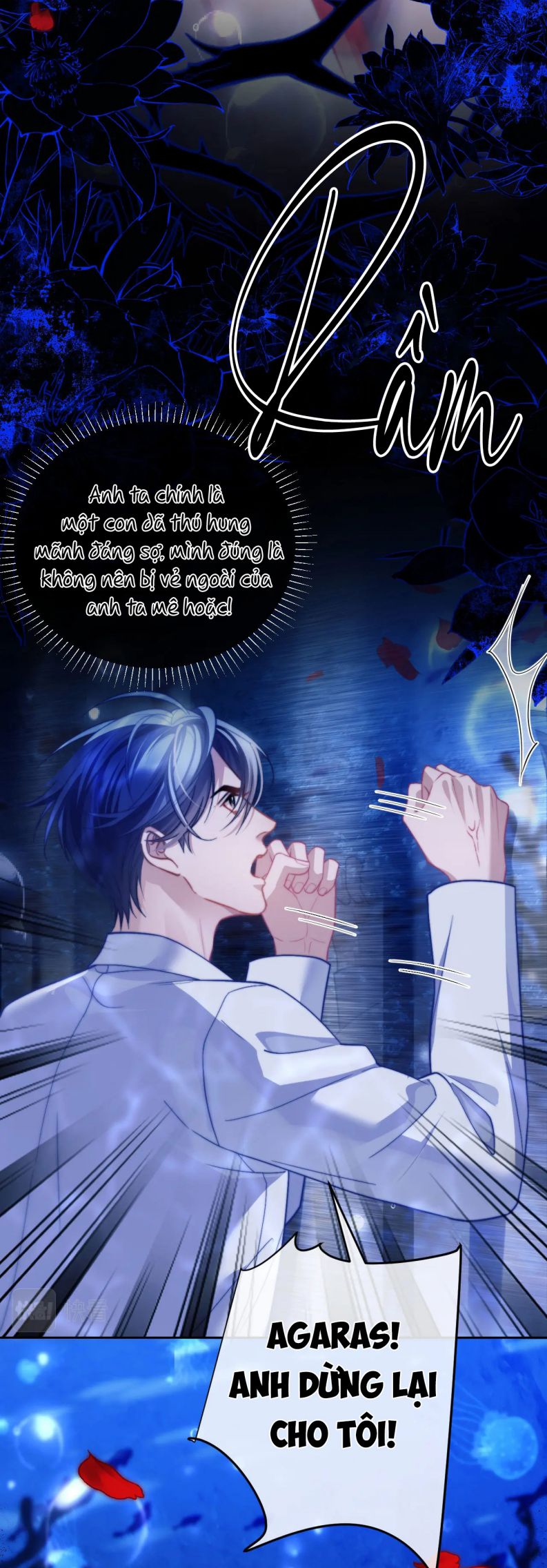 Desharow Nhân Ngư Chap 12 - Trang 2
