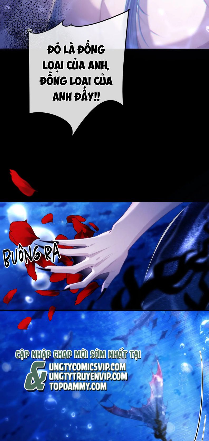 Desharow Nhân Ngư Chap 12 - Trang 2