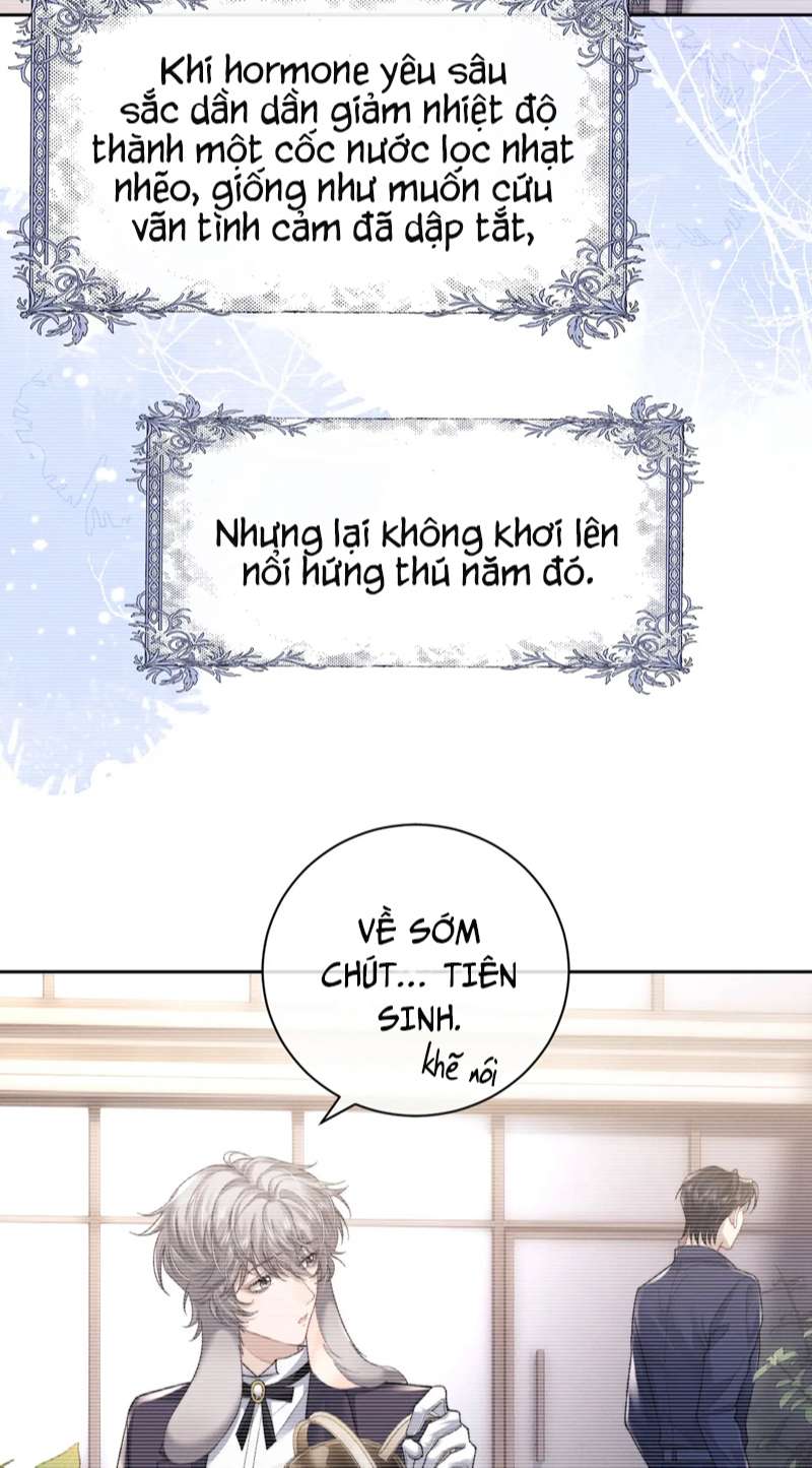 Chấp Sự Thỏ Cụp Tai Chapter 52 - Trang 4