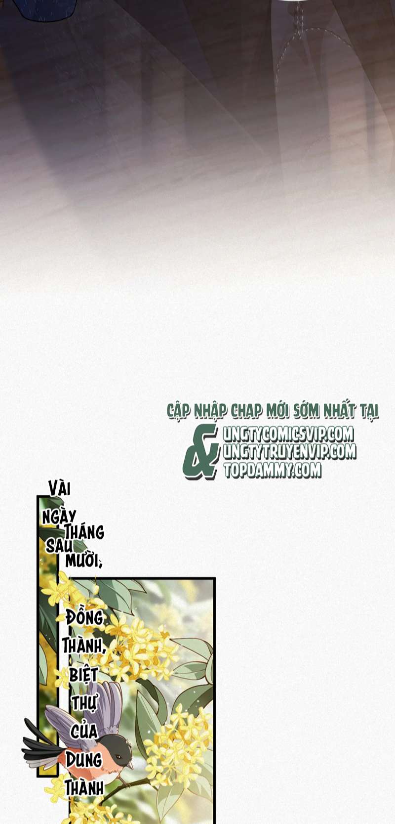 Chồng Trước Lại Muốn Phục Hôn Rồi Chapter 24 - Trang 3