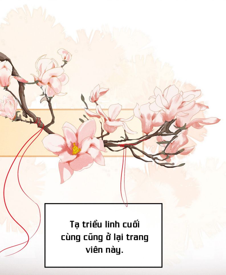 Đan Tiêu Vạn Dặm Chapter 43 - Trang 4