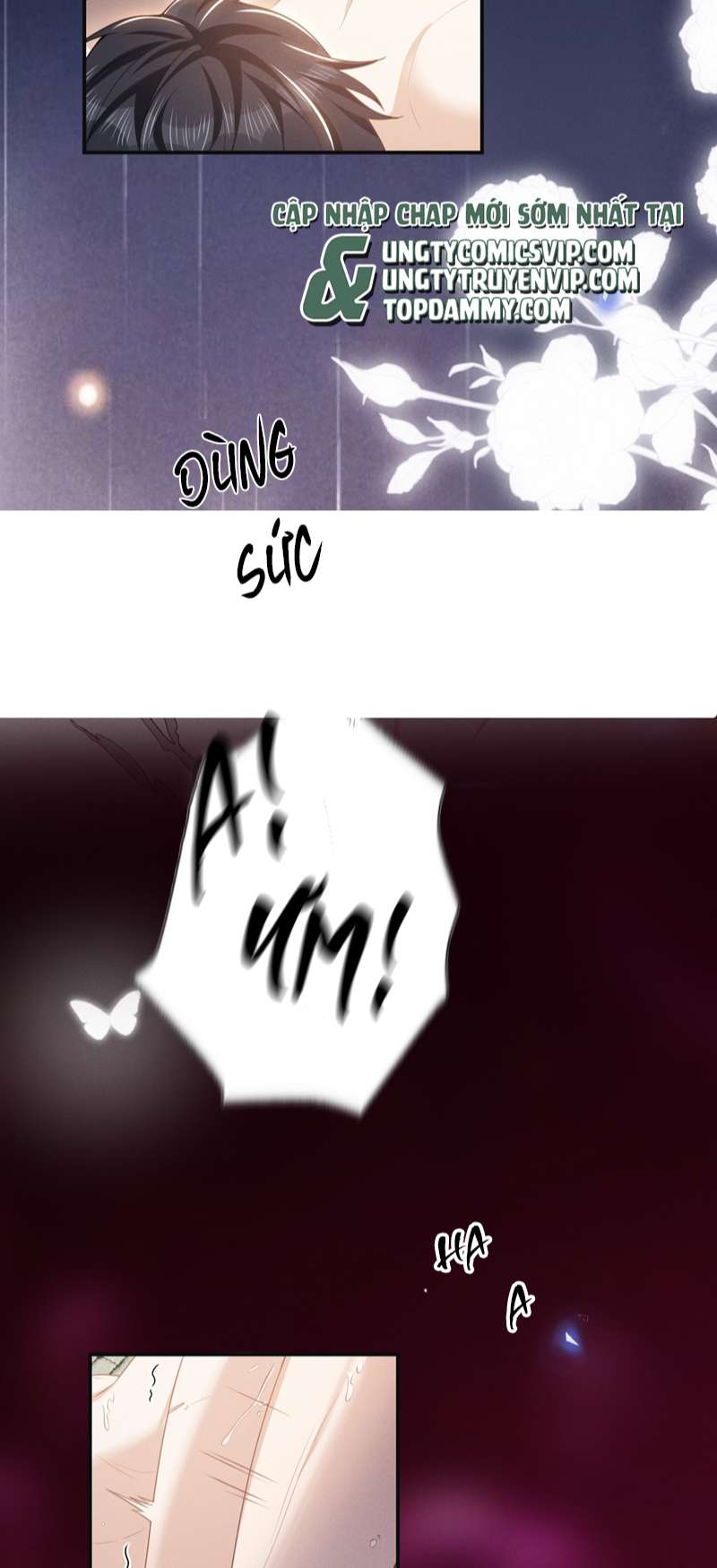 Lai Sinh Bất Kiến Chapter 102 - Trang 4