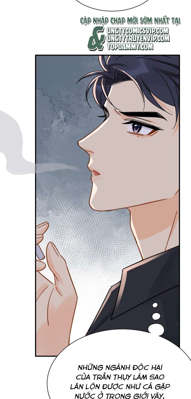 Theo Đuôi Chapter 81 - Trang 4