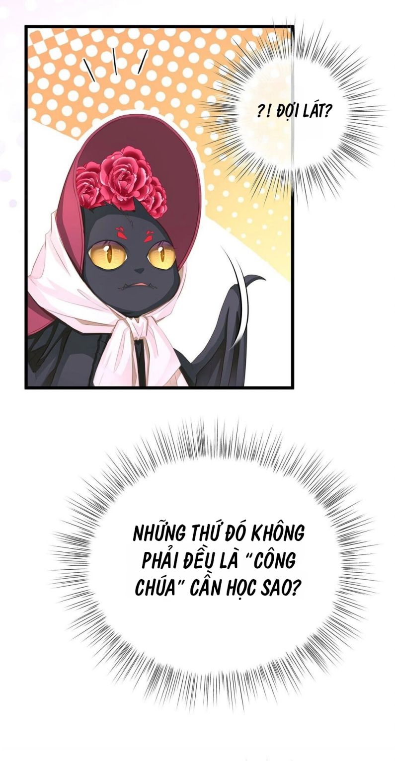 Tôi Trùng Sinh Trở Thành Tiểu Ác Long Của Vương Tử Điện Hạ Chapter 4 - Trang 4
