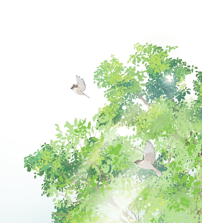 Viên Tiên Sinh Luôn Không Vui Chapter 3 - Trang 4
