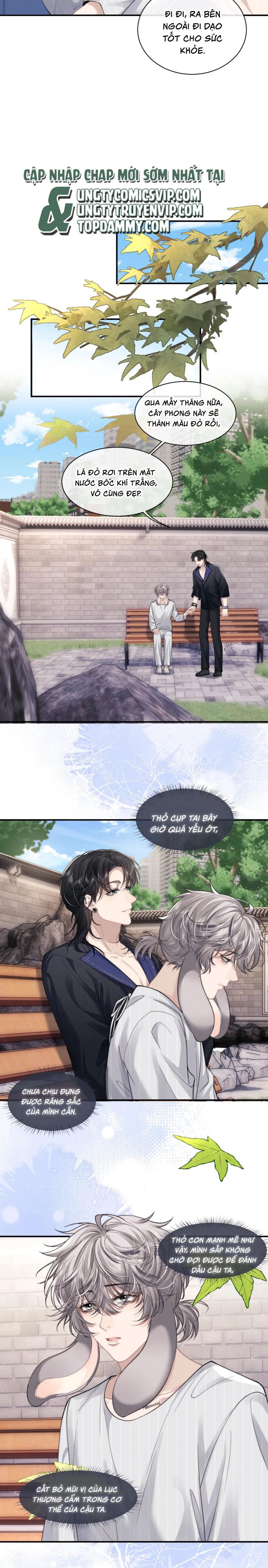 Chấp Sự Thỏ Cụp Tai Chapter 72 - Next Chapter 73