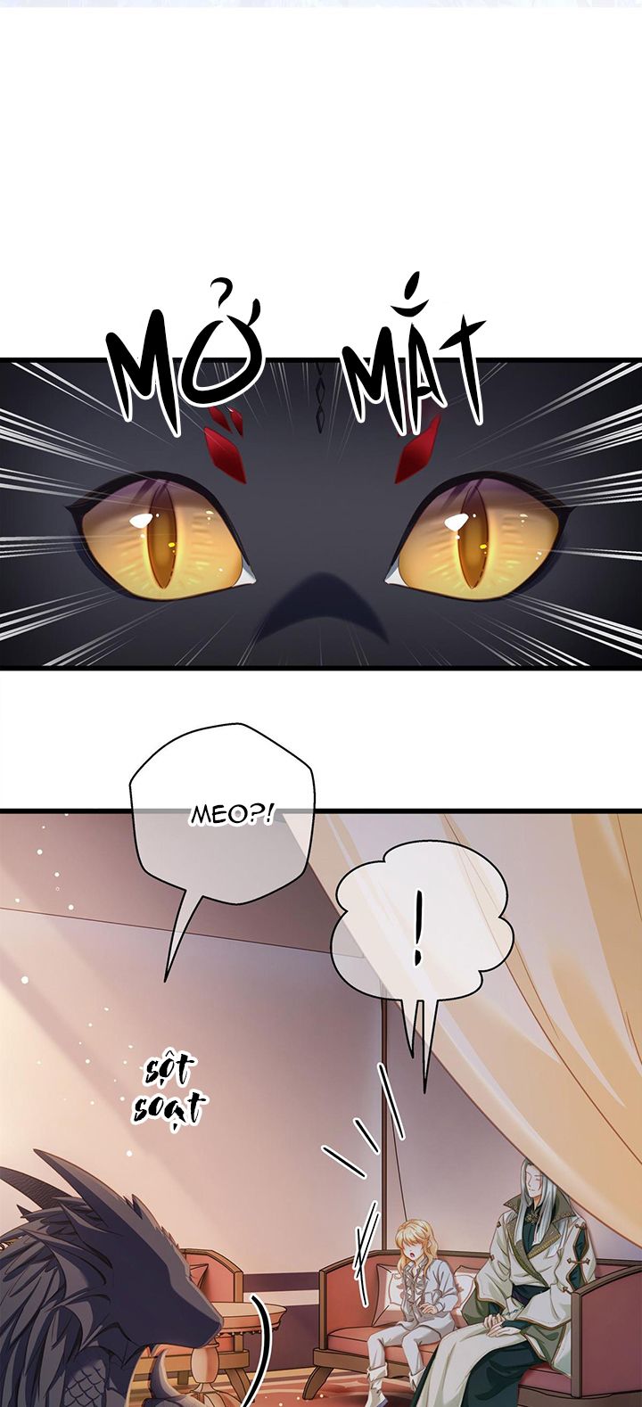Tôi Trùng Sinh Trở Thành Tiểu Ác Long Của Vương Tử Điện Hạ Chapter 13 - Next Chapter 14