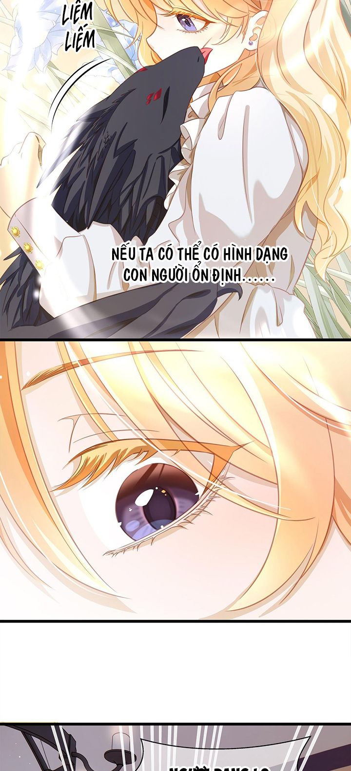 Tôi Trùng Sinh Trở Thành Tiểu Ác Long Của Vương Tử Điện Hạ Chapter 13 - Next Chapter 14