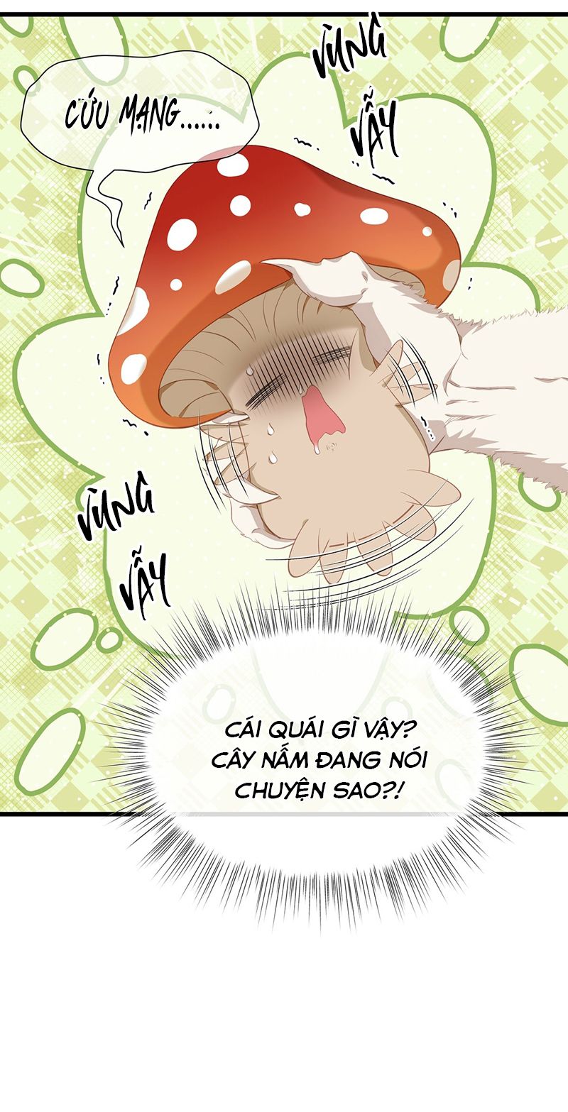Tôi Trùng Sinh Trở Thành Tiểu Ác Long Của Vương Tử Điện Hạ Chapter 14 - Next Chapter 15