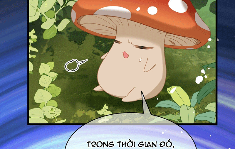 Tôi Trùng Sinh Trở Thành Tiểu Ác Long Của Vương Tử Điện Hạ Chapter 15 - Trang 4