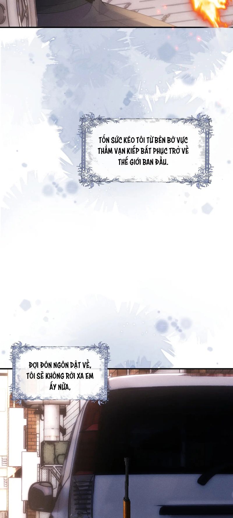 Chấp Sự Thỏ Cụp Tai Chapter 86 - Trang 4