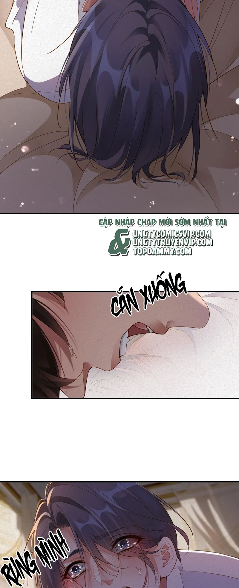 Chồng Trước Lại Muốn Phục Hôn Rồi Chapter 44 - Trang 3