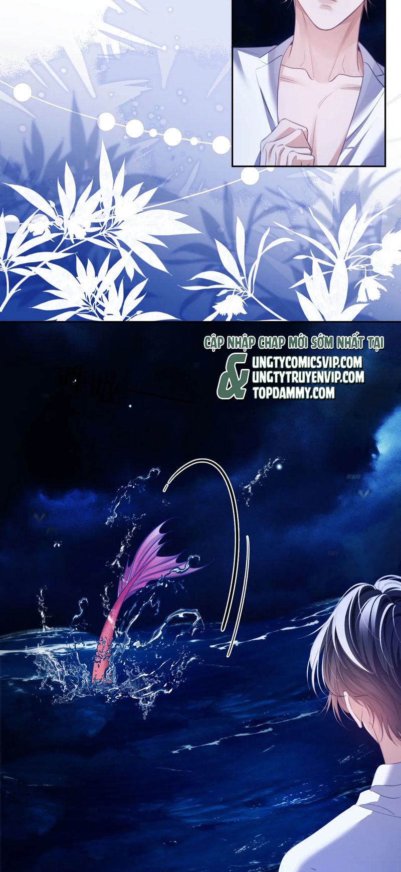 Desharow Nhân Ngư Chapter 34 - Next Chapter 35