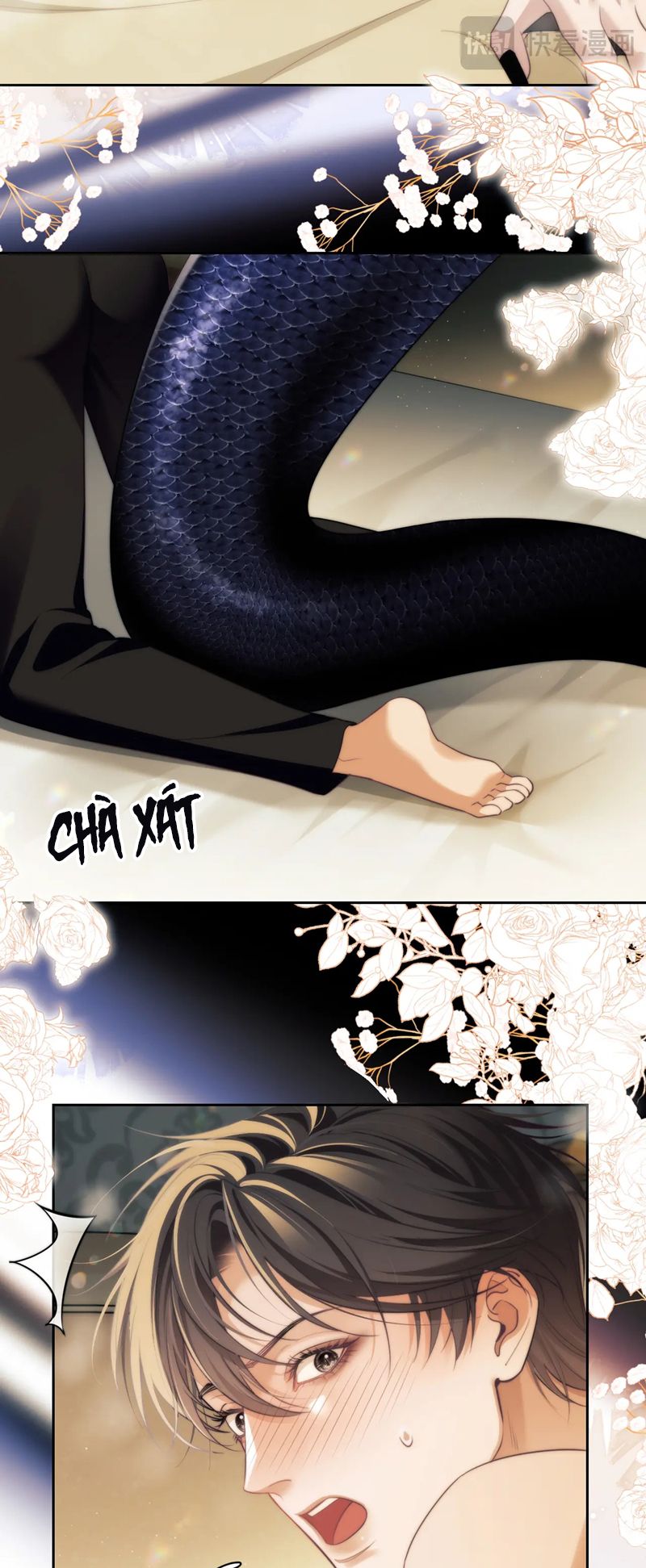 Desharow Nhân Ngư Chapter 37 - Next Chapter 38